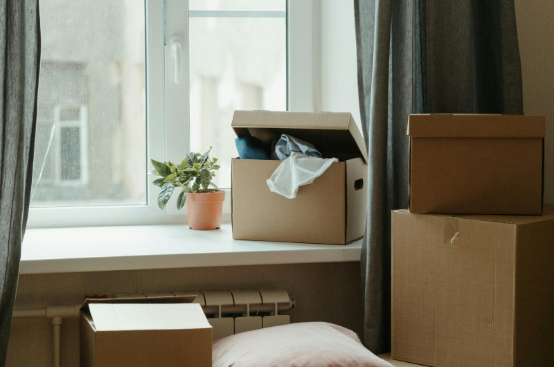 move-in move-out boxes